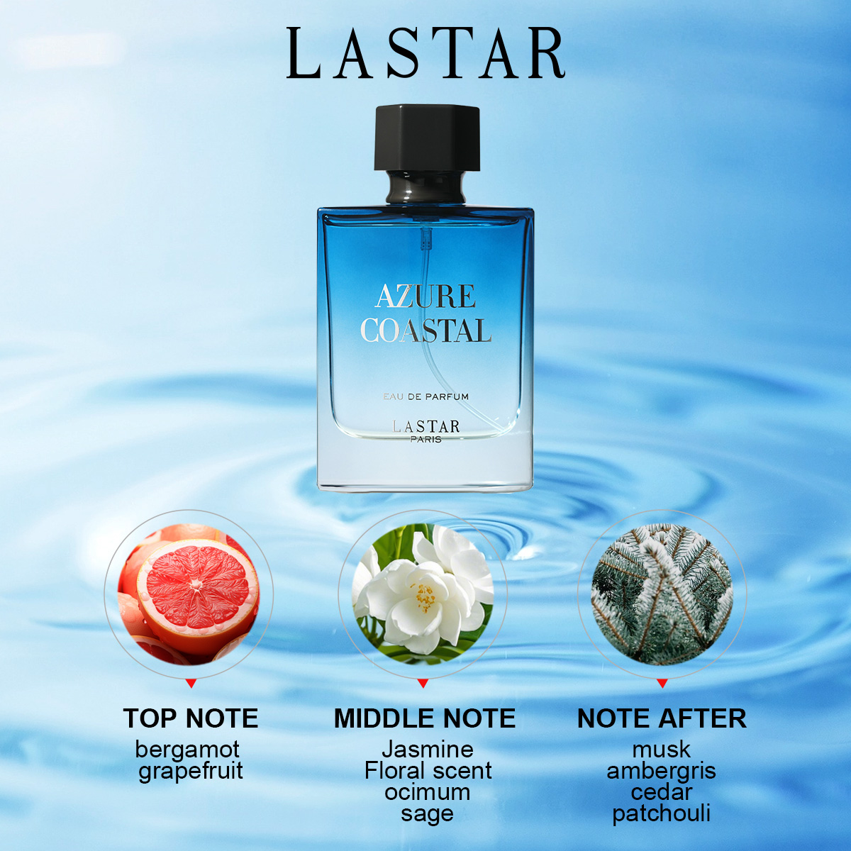 LASTAR Men Perfume, Two Bottle - огляд і ціна Perfume Fragrance Bottle